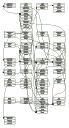 raw structure diagram